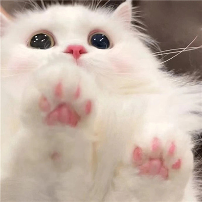 yhdr (uroibz.lens) Lens social identity (.lens handle) PFP