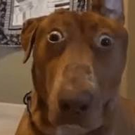 sohan (wwwwwwwbb.lens) Lens social identity (.lens handle) PFP