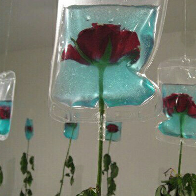 Bjornulf (hdrth.lens) Lens social identity (.lens handle) PFP