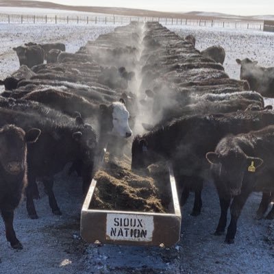 605ranchy (605ranchy.lens) Lens social identity (.lens handle) PFP