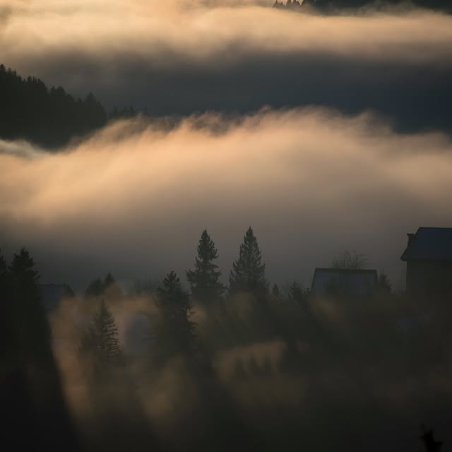 Ethan Cogito 🌱 (shoplocal.lens) Lens social identity (.lens handle) PFP