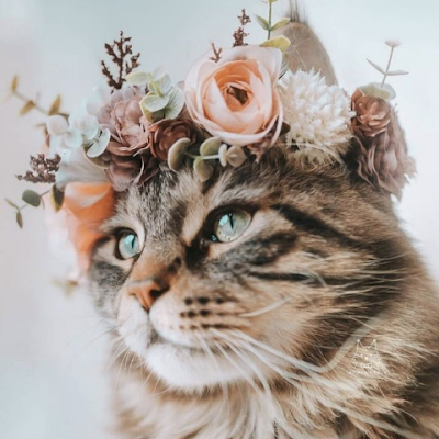 Valery (komora.lens) Lens social identity (.lens handle) PFP