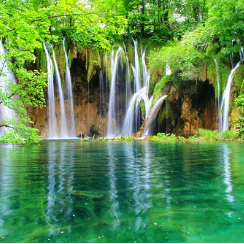 gg4963 (gg011.lens) Lens social identity (.lens handle) PFP