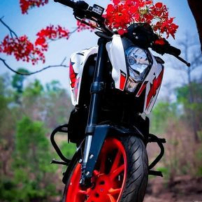 walton999 (mhwalton.lens) Lens social identity (.lens handle) PFP