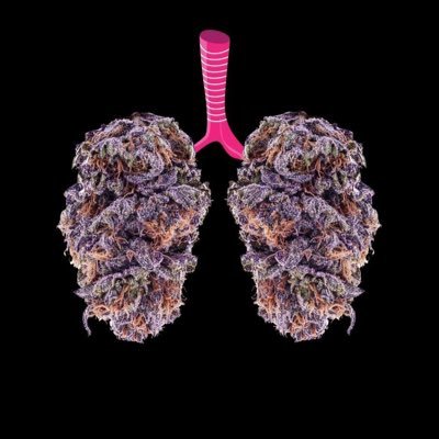 snoopdoggslungz (snoopdoggslungz.lens) Lens social identity (.lens handle) PFP