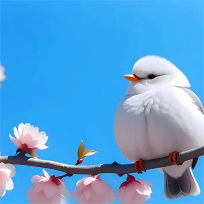 cakax (cakax.lens) Lens social identity (.lens handle) PFP