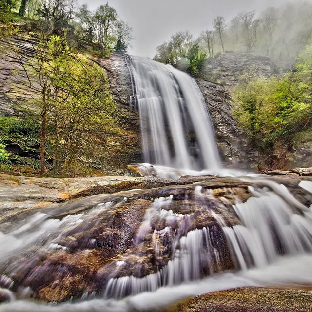 Quantum Pulse Innovator (pixlr.lens) Lens social identity (.lens handle) PFP