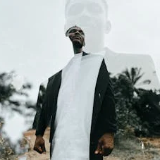 Naturer (naturer.lens) Lens social identity (.lens handle) PFP