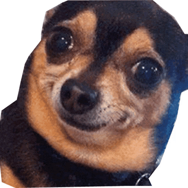 sserafim (sserafim.lens) Lens social identity (.lens handle) PFP