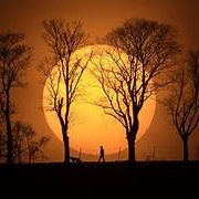 priya (456899765.lens) Lens social identity (.lens handle) PFP