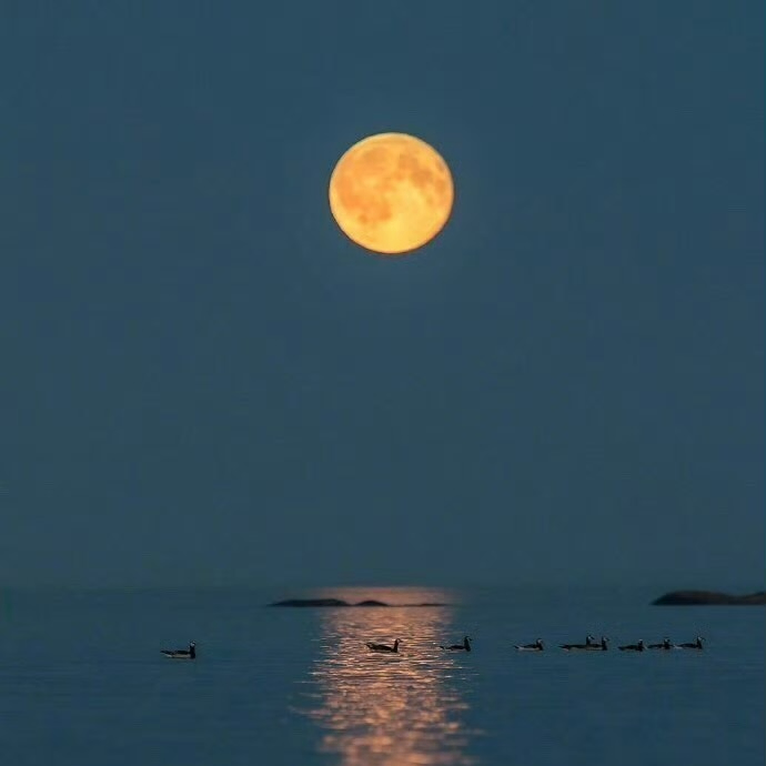 biubiubiu (biubiubiubiu.lens) Lens social identity (.lens handle) PFP