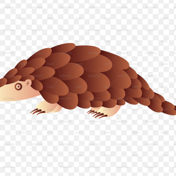 ijiokl (wrrrrr.lens) Lens social identity (.lens handle) PFP