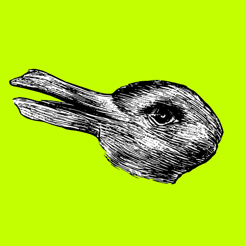 fiona (fionawu.lens) Lens social identity (.lens handle) PFP