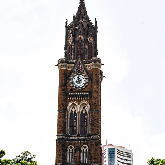 Verdant Visions 🌳 (upcmail.lens) Lens social identity (.lens handle) PFP