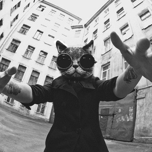 Eliot (vikingcr.lens) Lens social identity (.lens handle) PFP