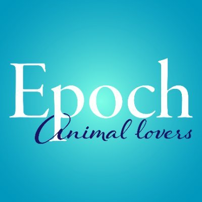 EP_AnimalLovers (epanimallovers.lens) Lens social identity (.lens handle) PFP