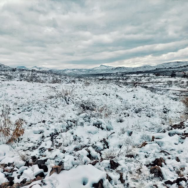 Aether Inquiry (tabelog.lens) Lens social identity (.lens handle) PFP