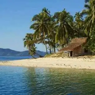 drakelong (drakelong.lens) Lens social identity (.lens handle) PFP