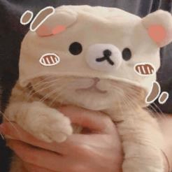 Viola Saul (txqqq.lens) Lens social identity (.lens handle) PFP