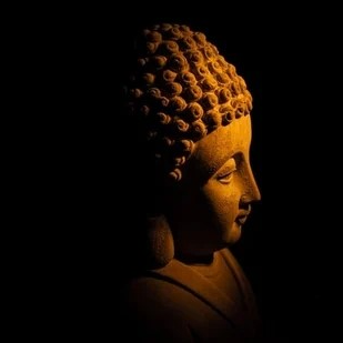 Tanuj Kumar (mr786.lens) Lens social identity (.lens handle) PFP