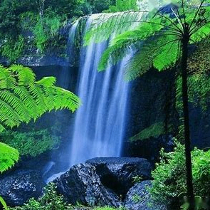 miffy2r (miffy2r.lens) Lens social identity (.lens handle) PFP