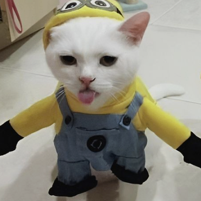 Hernand (hernandome55778.lens) Lens social identity (.lens handle) PFP