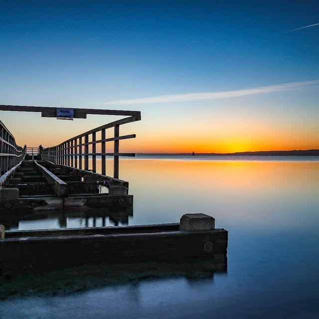 Furwell Sanctuary (ipromote.lens) Lens social identity (.lens handle) PFP