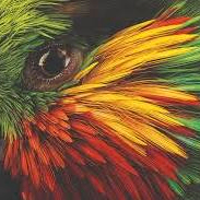 fatih (lithium34.lens) Lens social identity (.lens handle) PFP