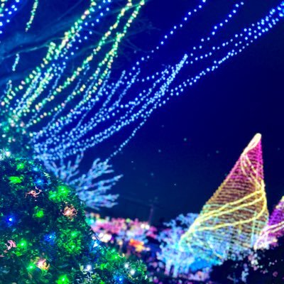 hika_hikalll (hikahikalll.lens) Lens social identity (.lens handle) PFP