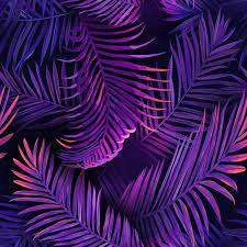 Nadri FERB (fildiginder.lens) Lens social identity (.lens handle) PFP