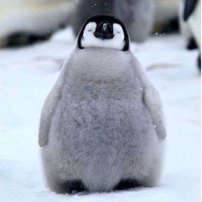 HappyBigfeet00 (42226.lens) Lens social identity (.lens handle) PFP