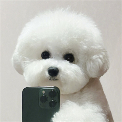 David FitzGerald (iiiiip.lens) Lens social identity (.lens handle) PFP