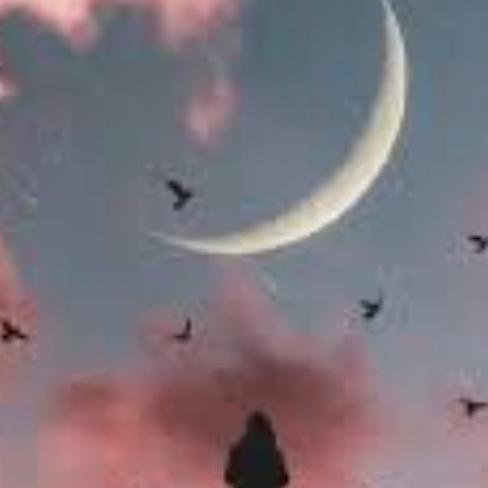 nihao (llllp.lens) Lens social identity (.lens handle) PFP