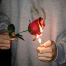 Melissa Adelaide (ieddd.lens) Lens social identity (.lens handle) PFP