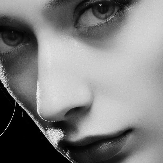 Elysian Dialectic (dvdcdn.lens) Lens social identity (.lens handle) PFP