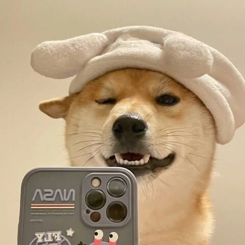 ChicoNuevo1 (msaijdwq.lens) Lens social identity (.lens handle) PFP