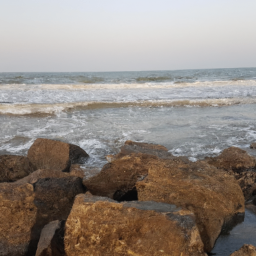 figurine (figurine.lens) Lens social identity (.lens handle) PFP