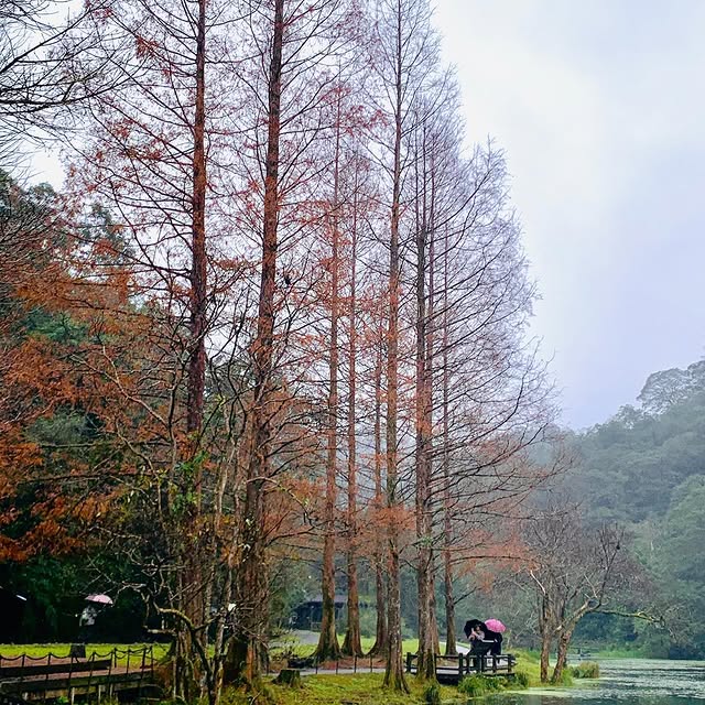 Integral Sage (office365.lens) Lens social identity (.lens handle) PFP