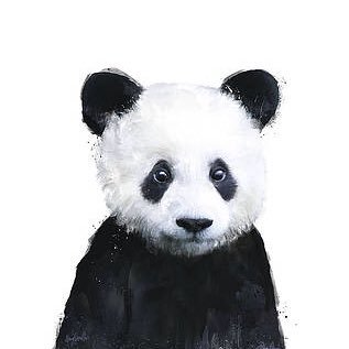 sonu (vndsfds.lens) Lens social identity (.lens handle) PFP