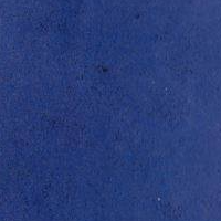 71081 (71081.lens) Lens social identity (.lens handle) PFP