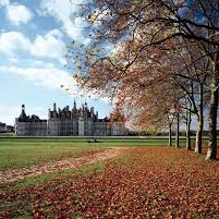 Kumara (ssbtc.lens) Lens social identity (.lens handle) PFP