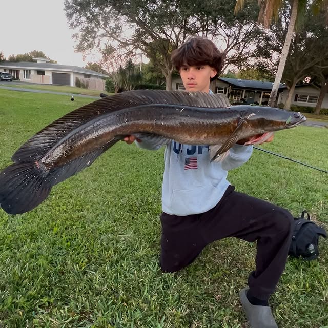 Liberty Grove (yisou.lens) Lens social identity (.lens handle) PFP