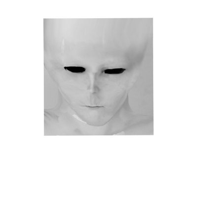 FACED16251 (21265.lens) Lens social identity (.lens handle) PFP