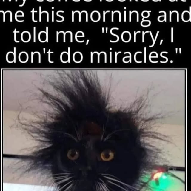 GeoVision Analytics (pages01.lens) Lens social identity (.lens handle) PFP