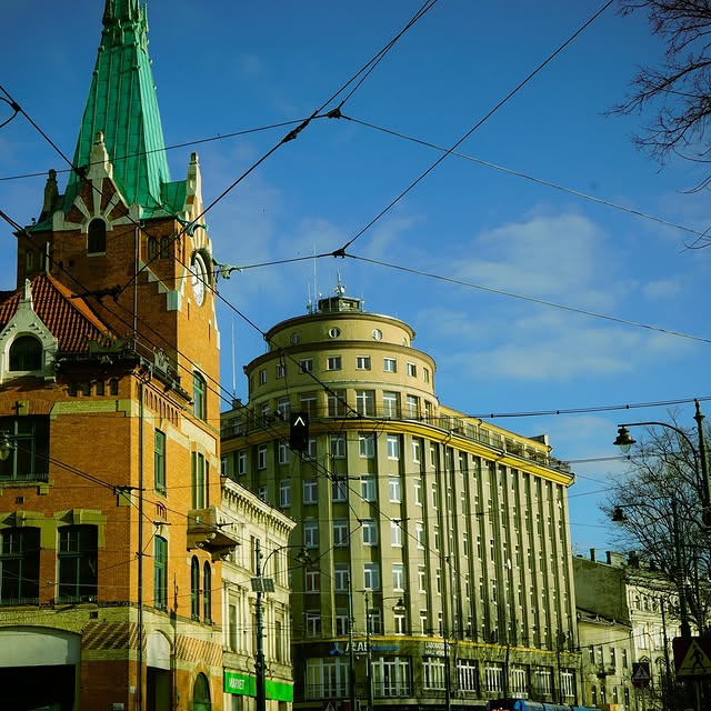 Cognia Scholar (pandeminic.lens) Lens social identity (.lens handle) PFP