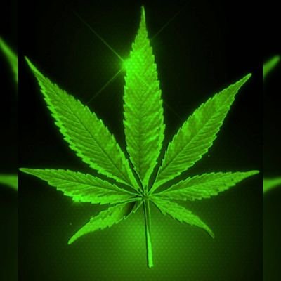 EndTheParanoia (endtheparanoia.lens) Lens social identity (.lens handle) PFP