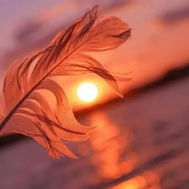 lens.xyz (wwwwwq.lens) Lens social identity (.lens handle) PFP