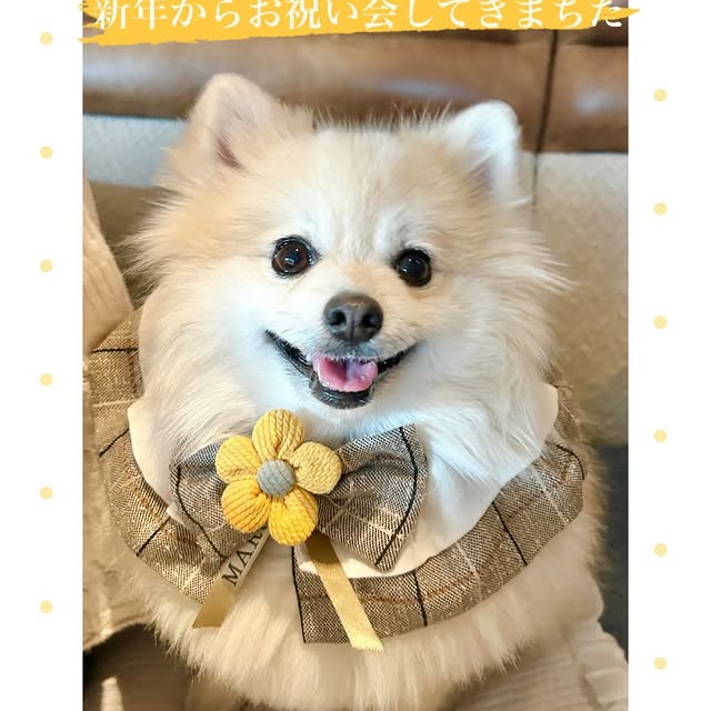 Gears & Widgets 🛠️ (cloudapp.lens) Lens social identity (.lens handle) PFP