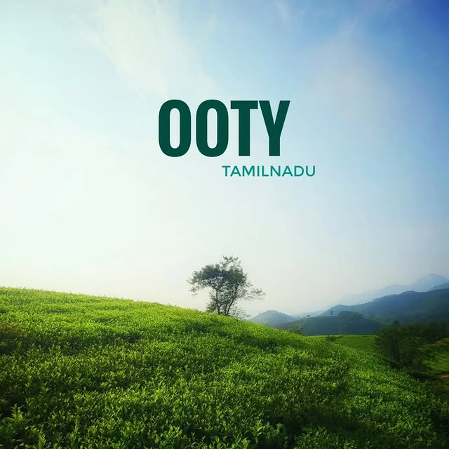 Lena Visuals (netgear.lens) Lens social identity (.lens handle) PFP