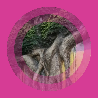 lens (lenslen.lens) Lens social identity (.lens handle) PFP